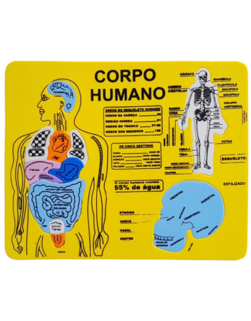 Mini Corpo Humano